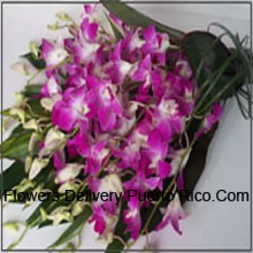 Bouquet d'orchidées avec des remplissages saisonniers
