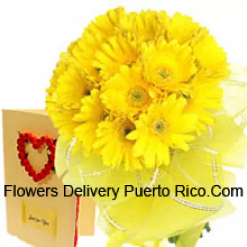 Bunch Of 19 Yellow Gerberas With A Free Love Greeting Card