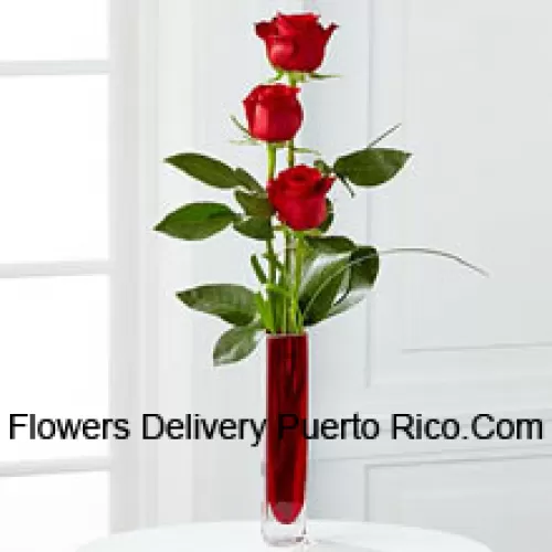 Trois roses rouges dans un vase en tube à essai rouge (Nous nous réservons le droit de substituer le vase en cas de non disponibilité. Stock limité)